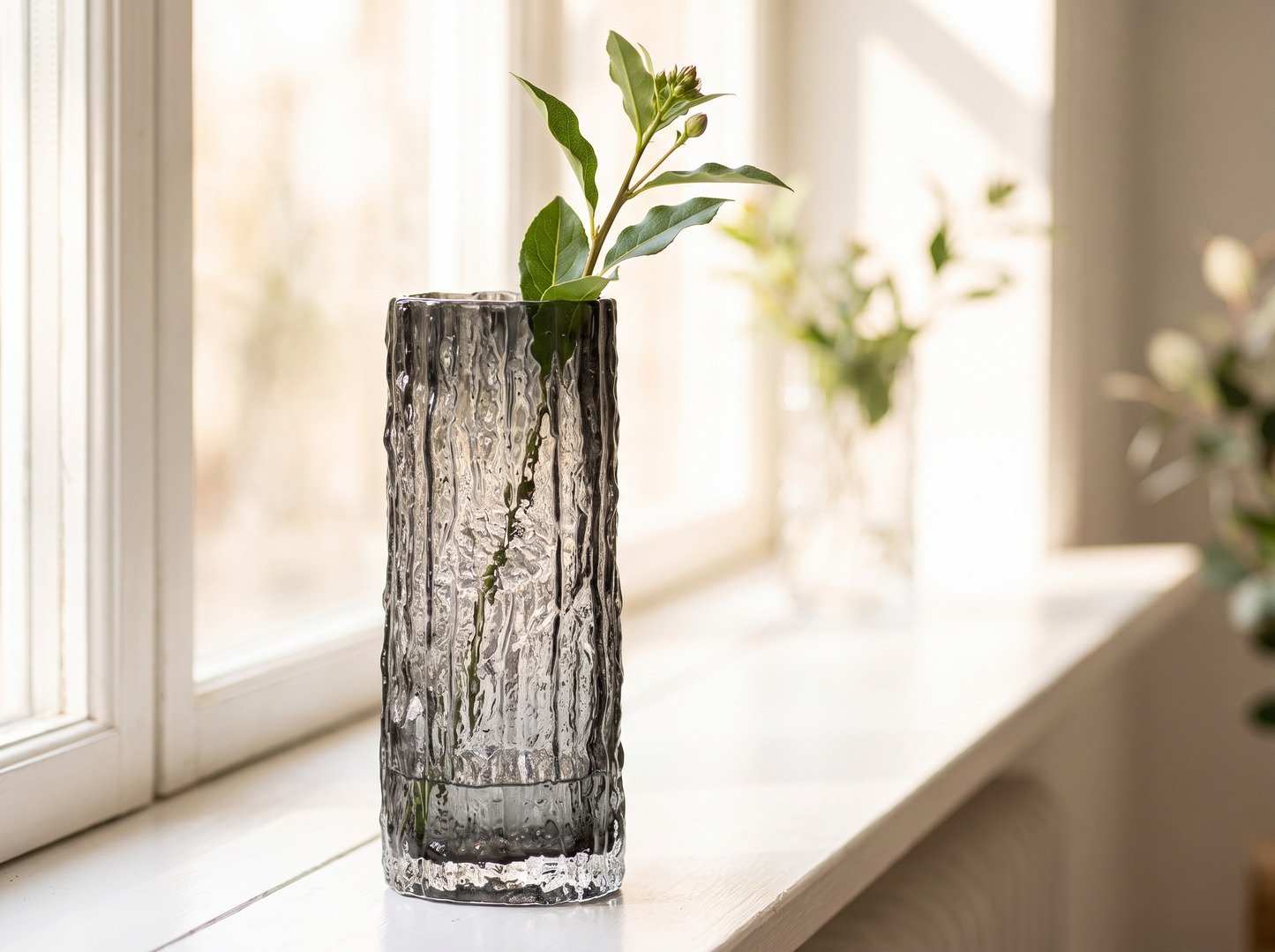 Modern Glass Hydroponic Vase on a windowsill
