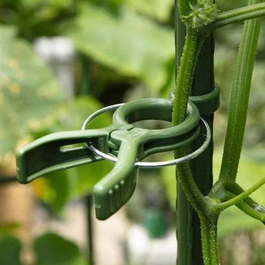 Garden Plant Support Clips — Gentle Stem Ties for Climbing Plants & Vines (Reusable)