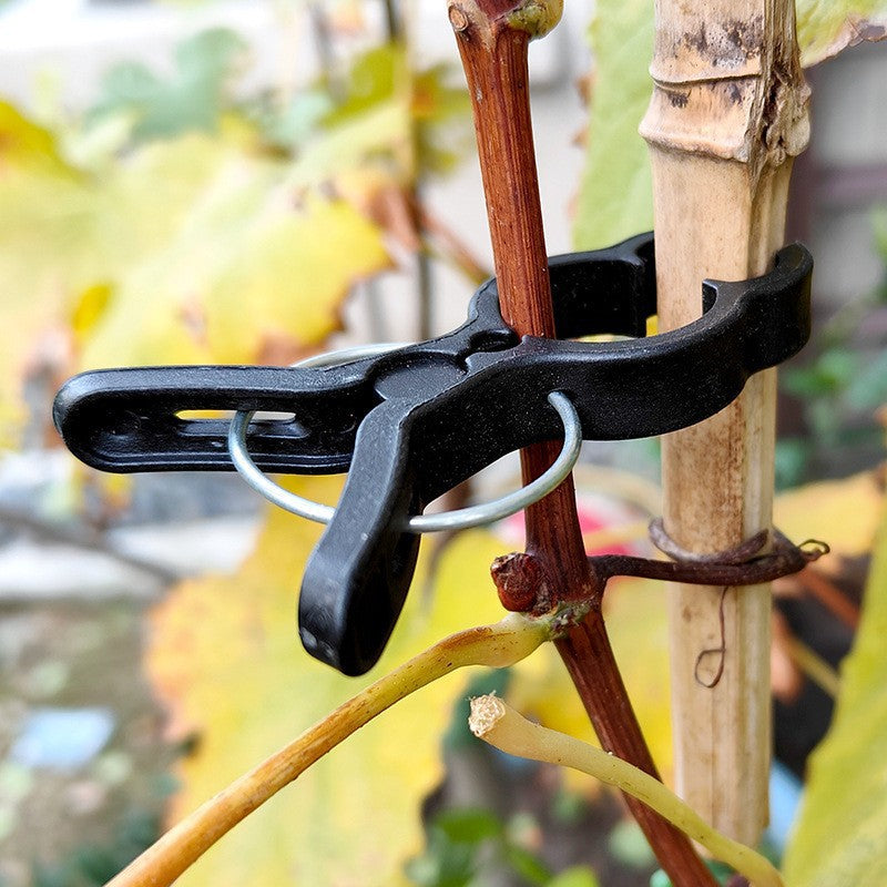 Garden Plant Support Clips — Gentle Stem Ties for Climbing Plants & Vines (Reusable)