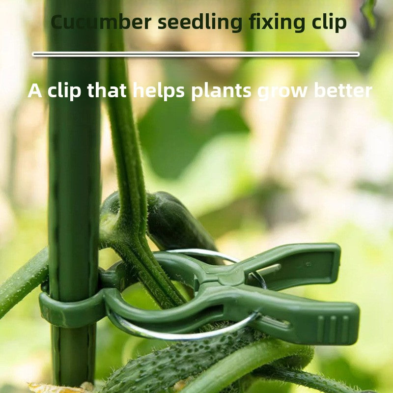 Garden Plant Support Clips — Gentle Stem Ties for Climbing Plants & Vines (Reusable)