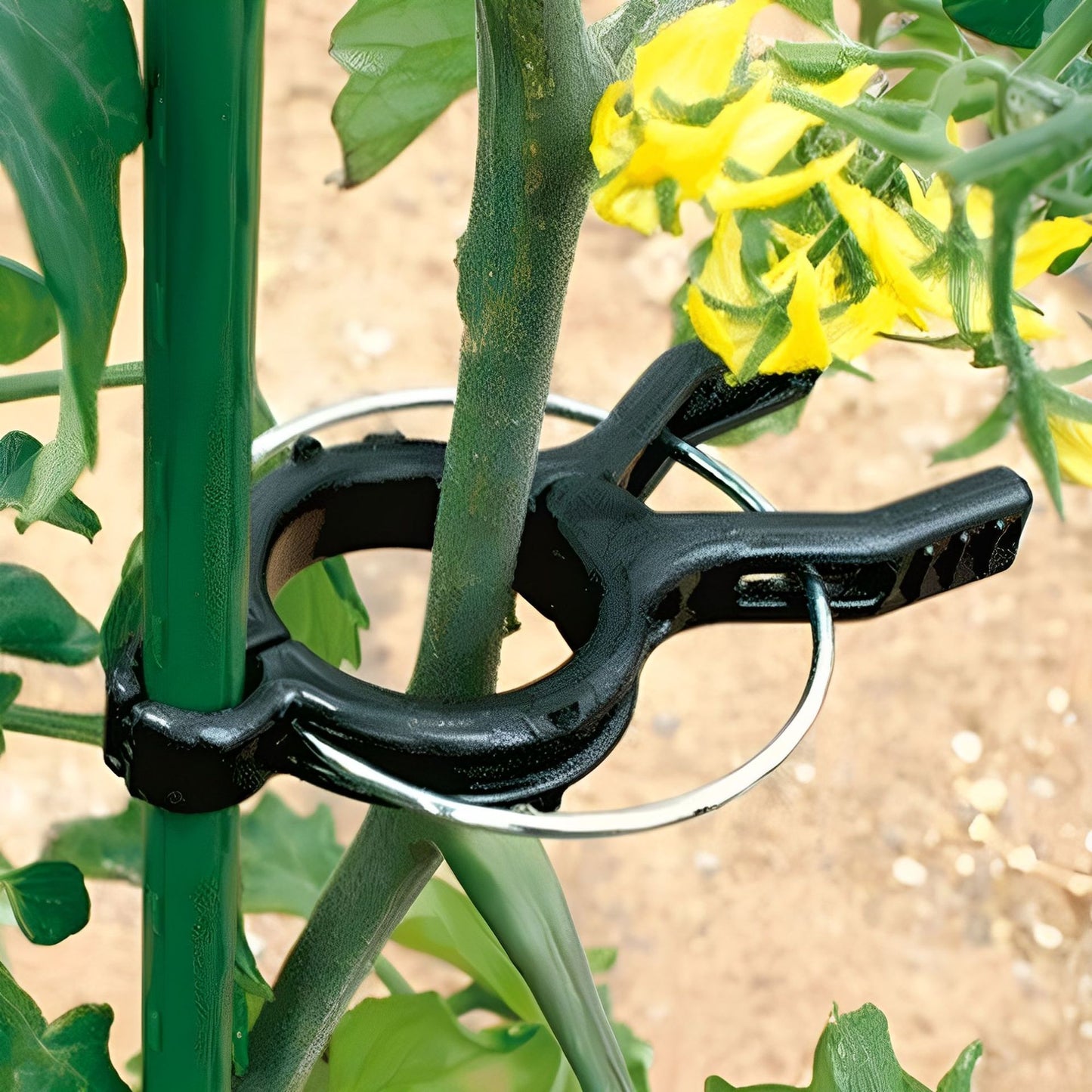 Garden Plant Support Clips — Gentle Stem Ties for Climbing Plants & Vines (Reusable)