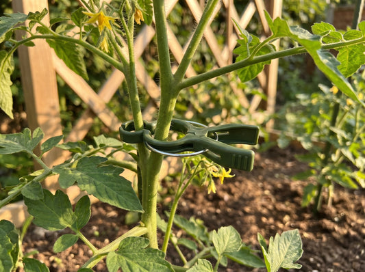 Garden Plant Support Clips — Gentle Stem Ties for Climbing Plants & Vines (Reusable)